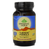 TURMERIC/KURKUMA BIO - 90 CAPSULES